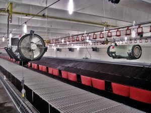 Газовый воздухонагреватель BH 50