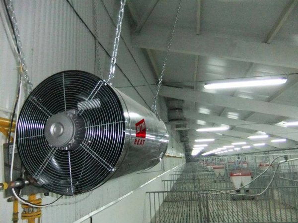 Газовый воздухонагреватель GA/N 45C — изображение 3